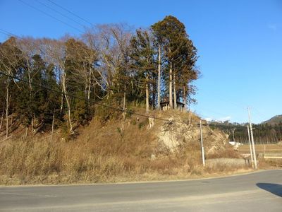 1-20c98.jpg