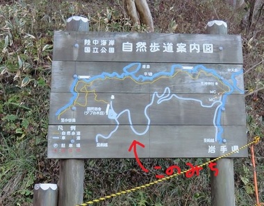 1.JPG