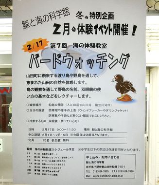20190206-2.jpg