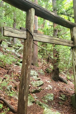 20220710_111155.jpg
