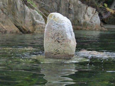 CIMG0249s.jpg