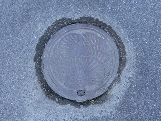 CIMG0266-3.jpg
