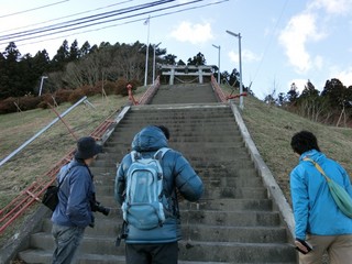 CIMG0298-2.jpg