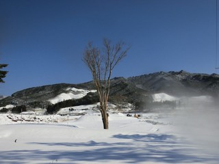 CIMG0837-2.jpg