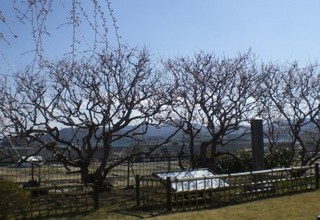 CIMG0916.jpg