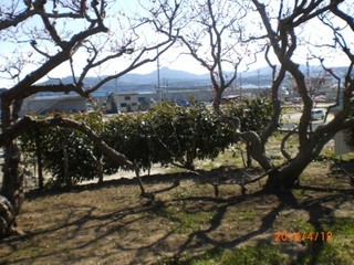 CIMG0923.jpg