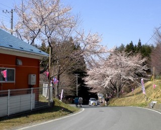 CIMG0943.JPG