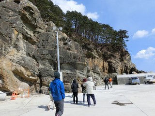 CIMG1116-2.jpg