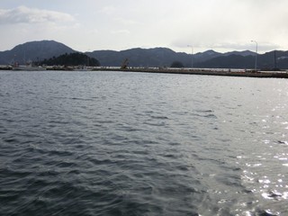 CIMG1341-2.jpg