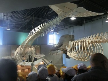 CIMG8668s.jpg