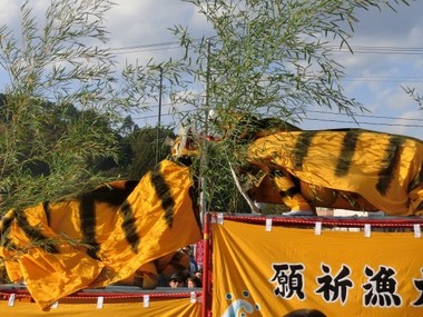 CIMG9462s.jpg