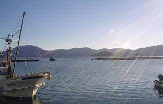 DSC02195-3-2.jpg