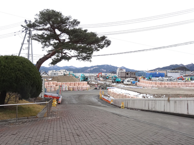DSC08577.jpg