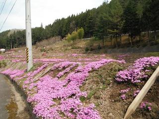 DSCF0119-2.jpg