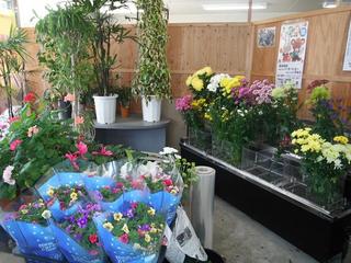 DSCF0208-2.jpg
