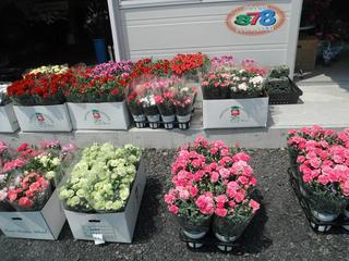DSCF0215-2.jpg