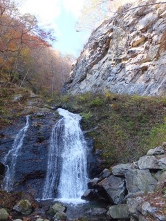 DSCF0310-2.jpg