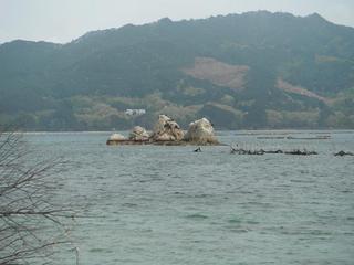 DSCF0401-2.jpg