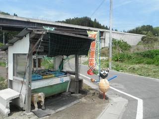 DSCF0515-2.jpg