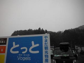 DSCF0540-2.jpg