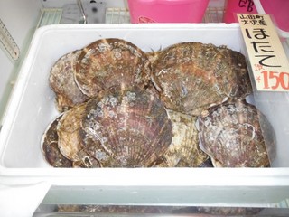 DSCF0721-2.jpg