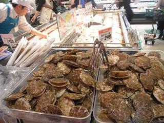 DSCF0721-2.jpg