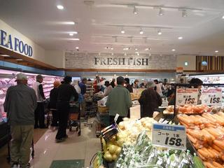 DSCF0722-2.jpg