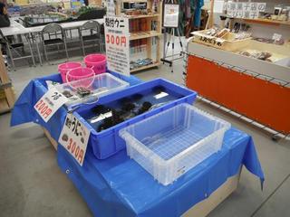 DSCF0747-2.jpg