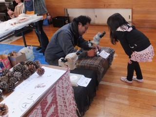 DSCF0798-2.jpg