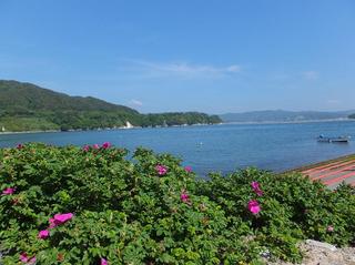 DSCF1080-2.jpg