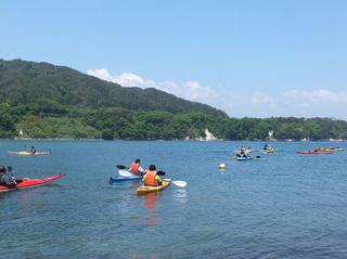 DSCF1172-2.jpg