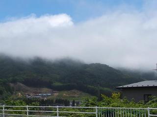 DSCF1232-2.jpg