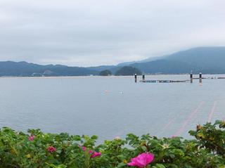 DSCF1443-2.jpg