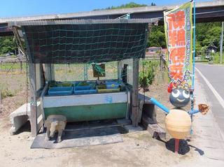 DSCF1638-2.jpg