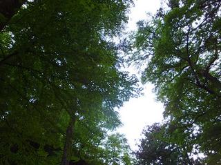 DSCF1930-2.jpg