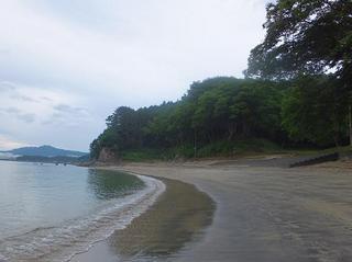 DSCF2045-2.jpg
