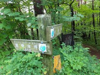 DSCF3068-2.jpg