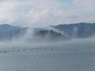 DSCF3174-2.jpg