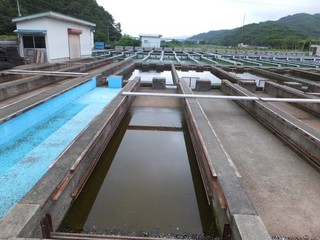 DSCF3241-2.jpg