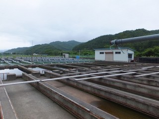 DSCF3248-2.jpg