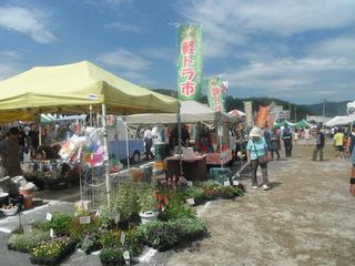 DSCF3712-2.jpg