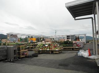 DSCF4393-2.jpg