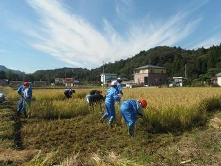 DSCF4535-2.jpg