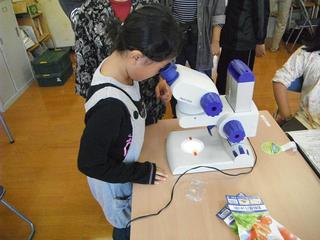DSCF4702-2.jpg