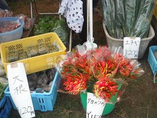 DSCF4873-2.jpg