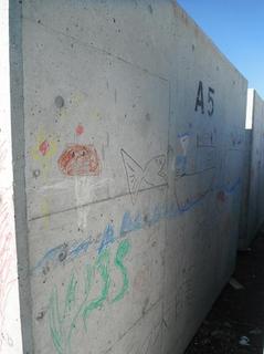 DSCF5603-2.jpg