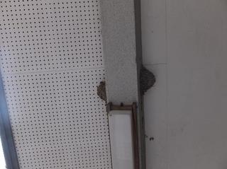 DSCF6167-2.jpg