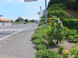 DSCF6258-2.jpg