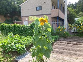DSCF6273-2.jpg