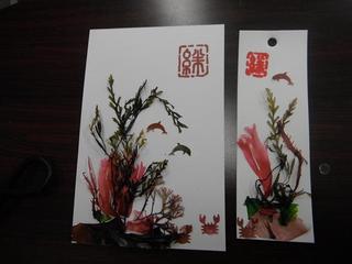 DSCF6346-2.jpg